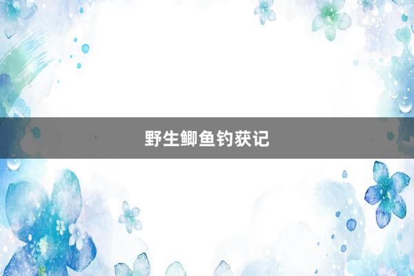 野生鲫鱼钓获记
