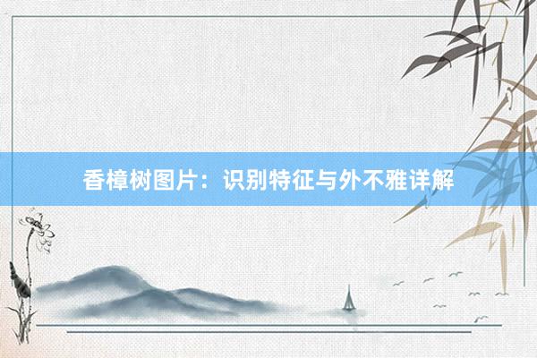 香樟树图片：识别特征与外不雅详解